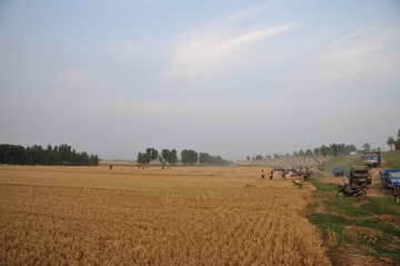 DSC_9974