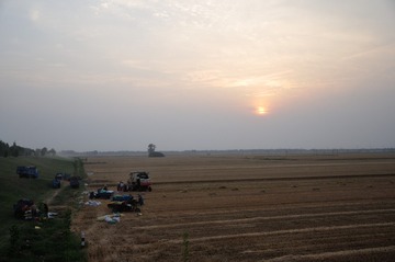 DSC_9955