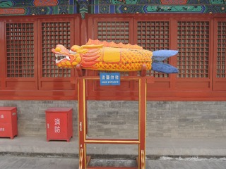DSCN7643