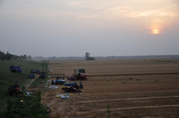 DSC_9956