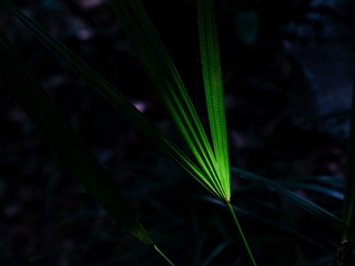 D55A7DDE-2B3D-4379-A96B-29636877C4F7/L0/001