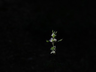 7EA1D3B2-CB96-4D1B-B0AD-668BFD0D6AC9/L0/001