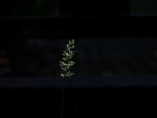 6BBA3F3F-F1E3-4D7D-8AB2-549C7BC72933/L0/001