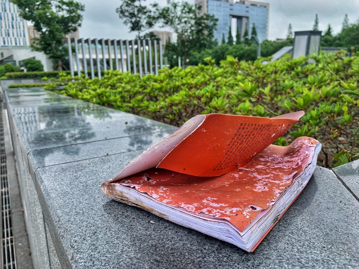 被人丢弃的一本破书