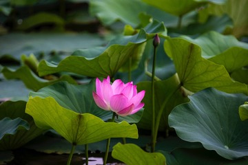 001