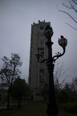 L1002639