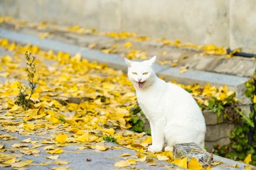 1605559