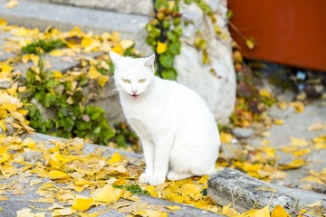 1605561