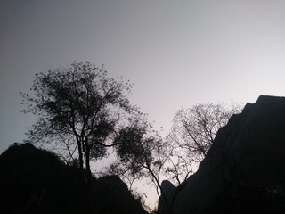 291856