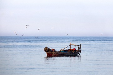 IMG_8593-2 -裁剪