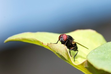 IMGP0640 - 