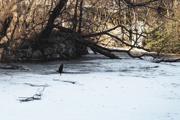 20220127-DSC_0364