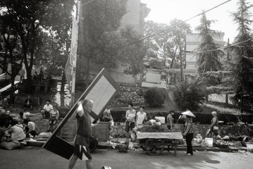 P1170264.jpg