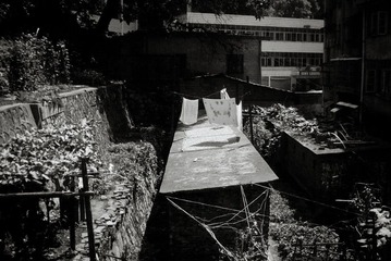 P1170282.jpg