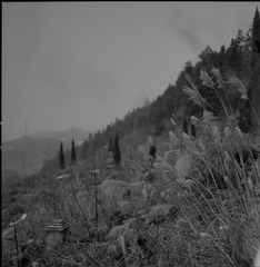 _DSC9844.jpg