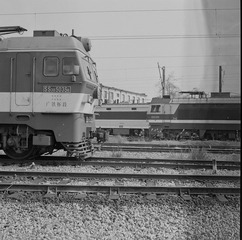 _DSC9865.jpg