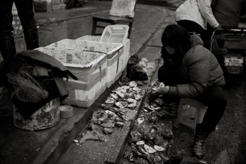 _DSC0270