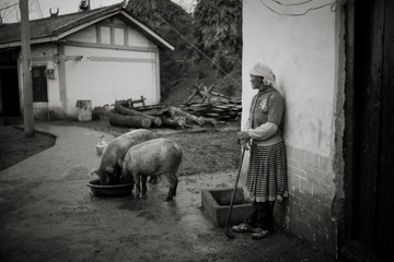_DSC2680