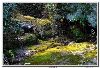 2016-03-0502