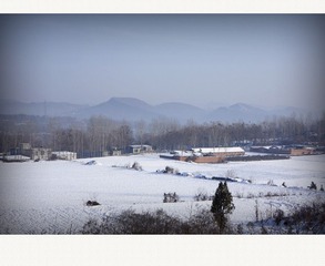 _DSC0420_