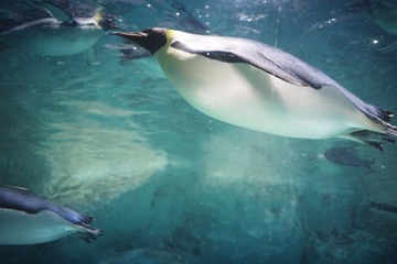 image_2_