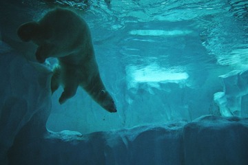 image_4_