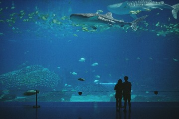image_2_