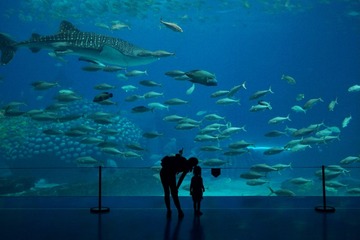 image_3_