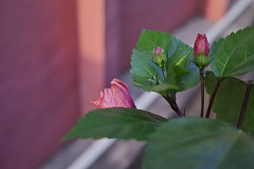 879AD7C9-A751-418D-93A2-379220000C88/L0/001