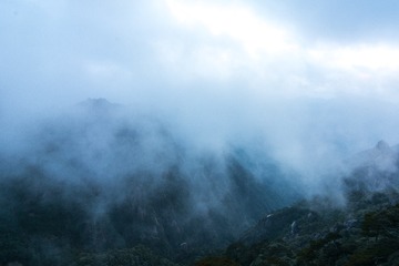 YHP_2458