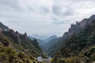 YHP_2363