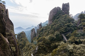 YHP_2392