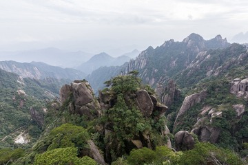 YHP_2397