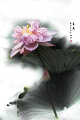 05BD854A-D2B6-4873-A7F0-CA0255F99529/L0/001