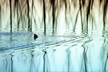 E240616D-A44B-4962-9312-96F078026F8A/L0/001