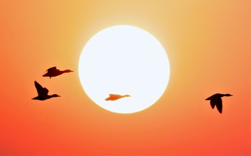 B67CF72C-08C4-405B-92C9-E562A5B9B653/L0/001