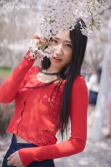 DSC05170_