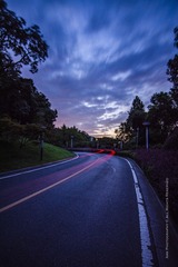一路向北