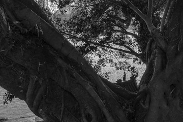 _DSC0311