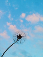 2016-04-03 07.36.24 1