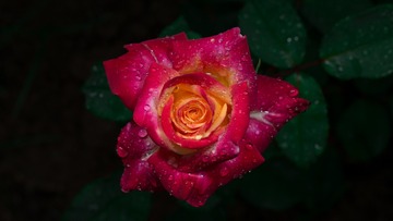 001