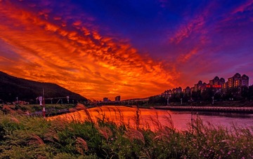_DSC9889