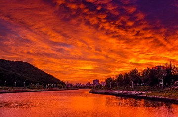 _DSC9890