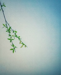 20160306_171842-01