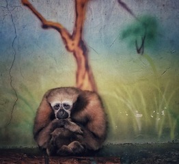 20160217_142842-01