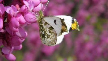 P4110173