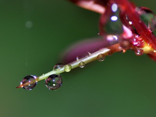DSC_0056_
