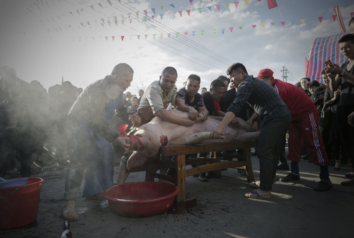 2017全球华人新春摄影大赛正月里头杀龙猪组图8幅