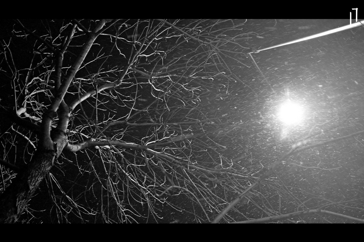 在昨天那个风雪交加的夜晚第一次觉得跟这个小富士有了沟通