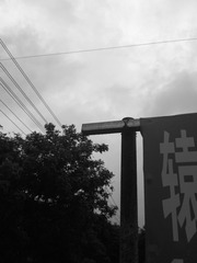 248031